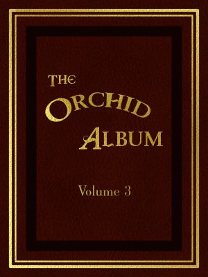 [Gutenberg 59411] • The Orchid Album, Volume 3 / Comprising Coloured Figures and Descriptions of New, Rare, and Beautiful Orchidaceous Plants